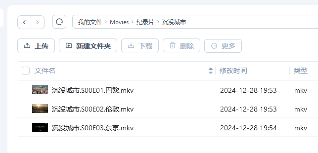 屏幕截图 2024-12-31 142407.png 屏幕截图2024-12-31142407.png