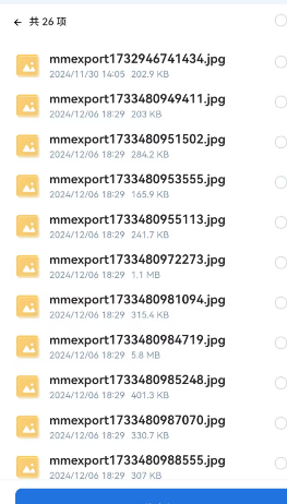 1740734472030.png