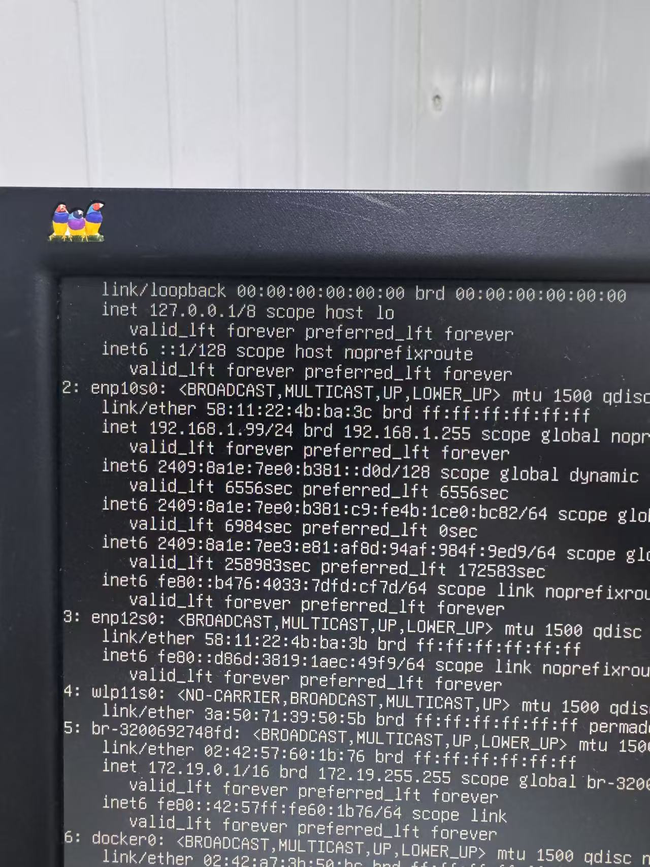 22222222.jpg