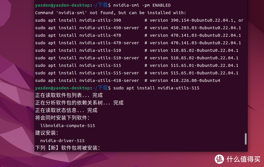 玩NAS先学Linux(3):如何安装.run显卡驱动程序文件+解决NVIDIA Container Toolkit安装过程遇到的难题