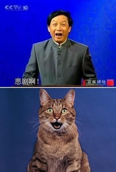 易中天百家讲坛大喊“悲剧啊”的是哪一集？