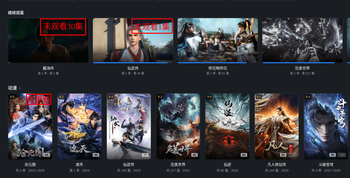 飞牛影视-06-02-2025_11_35_PM1.png