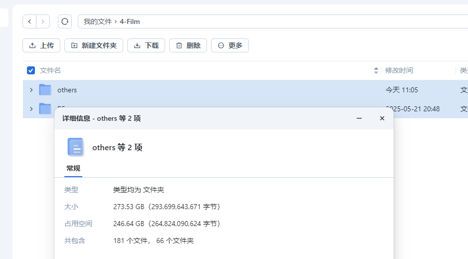 飞牛界面显示文件占用273GB大小.png 飞牛界面显示文件占用273GB大小.png