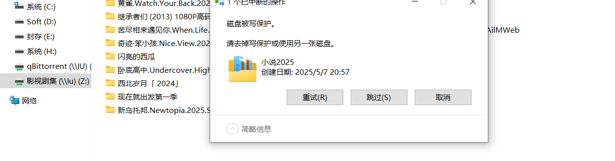 飞牛2.png