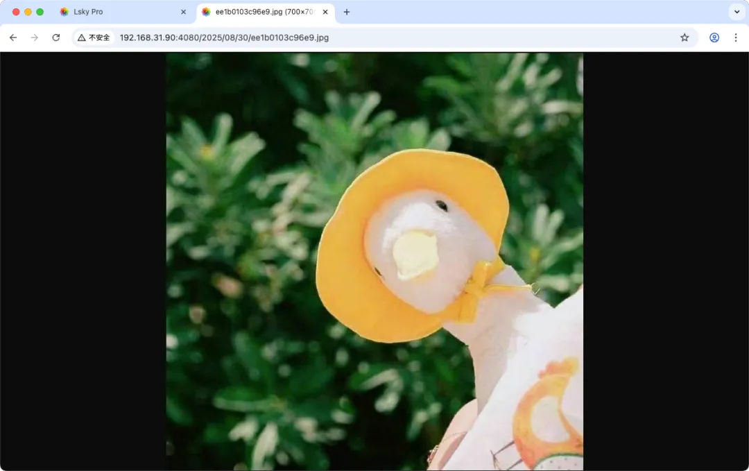 null 图片