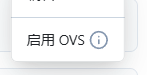 启用ovs.png