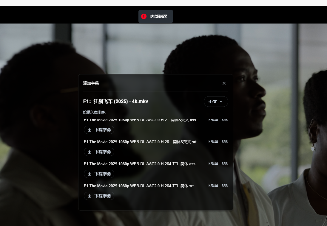 飞牛影视下载字幕内部错误.png