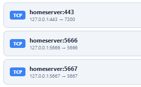 飞牛内的frpc设置.png