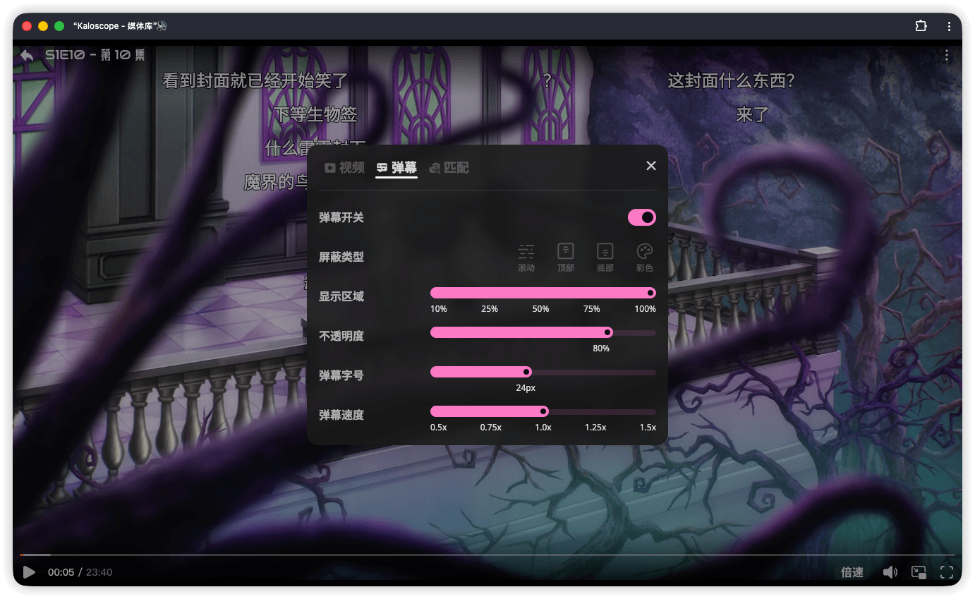danmaku-settings.png